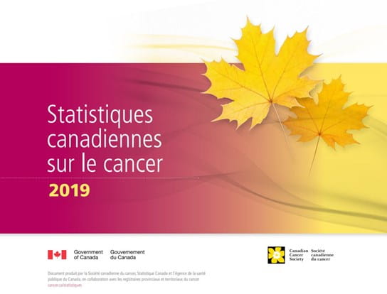Deux feuilles d'érable jaune