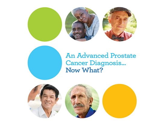 Cover of An Advanced Prostate Cancer Diagnosis Now What? available to download.