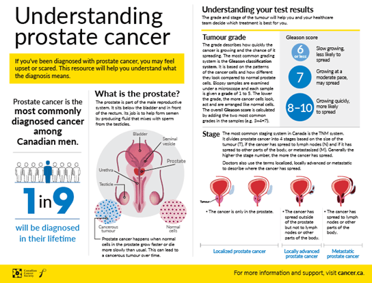Understanding prostate cancer