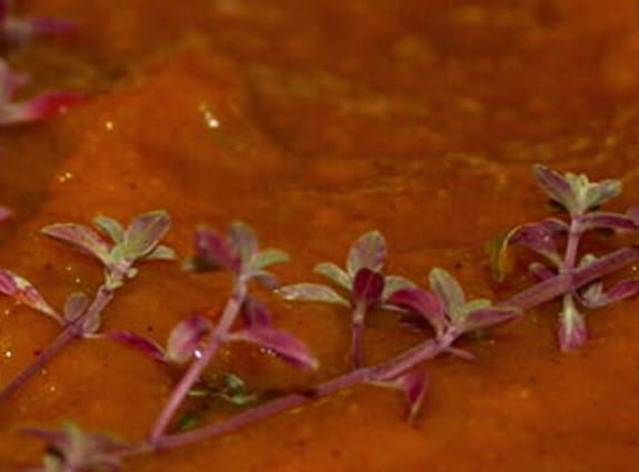 Squash soup with thyme