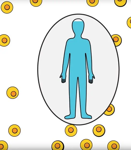 Outline of a human body with yellow cells behind it