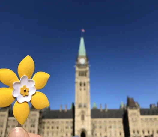 Épinglette en forme de jonquille devant les édifices du Parlement du Canada.
