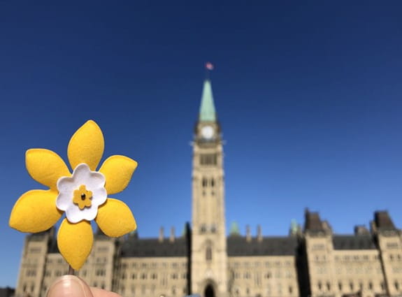 A daffodil shaped pin is held up in front of the Canadian parliament building
