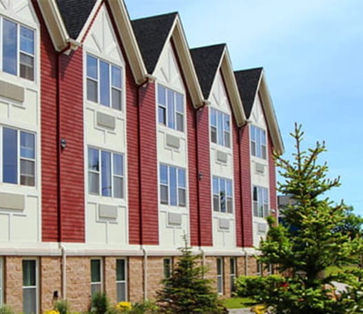 Daffodil Place in St. John's