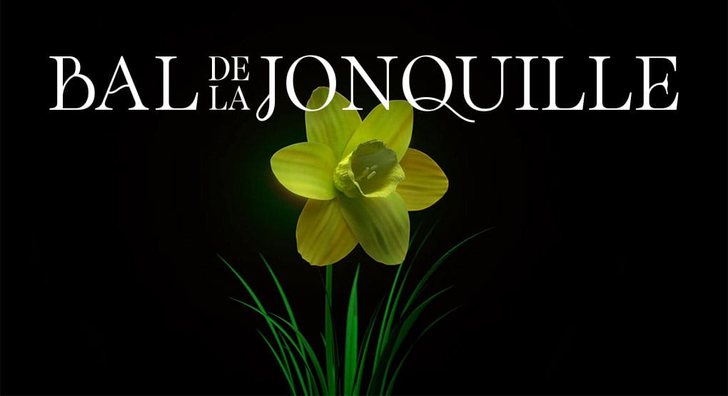 Event logo of 'Bal de la Jonquille' with a single daffodil flower centered below the text.
