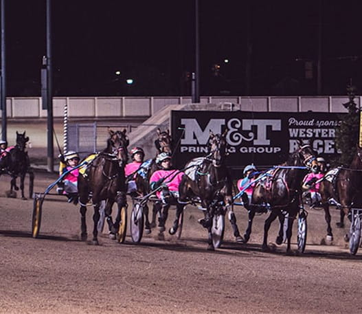 Harness racers behind horses running