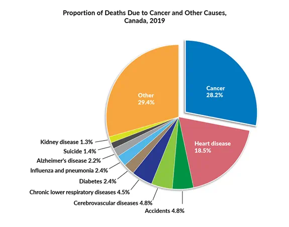 Proportion of Deaths 2019