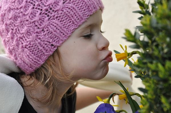 A little girl kissing a daffodil.