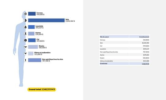 Investissements par foyer de cancer