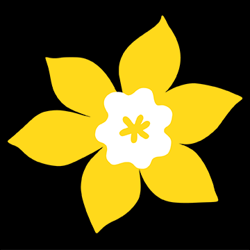 Canadian Cancer Society Daffodil
