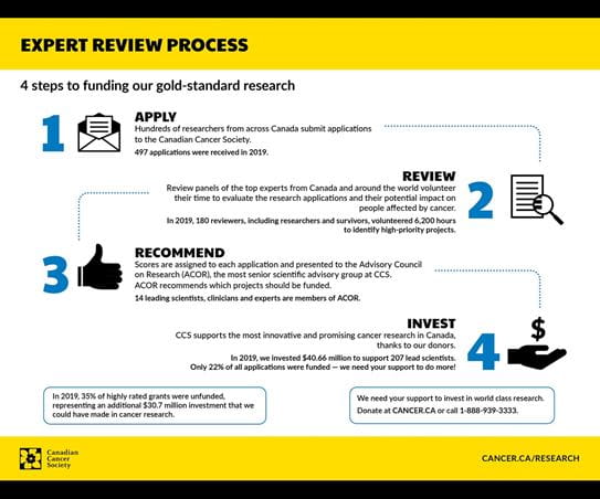 Infographic describing our expert review process in 2019