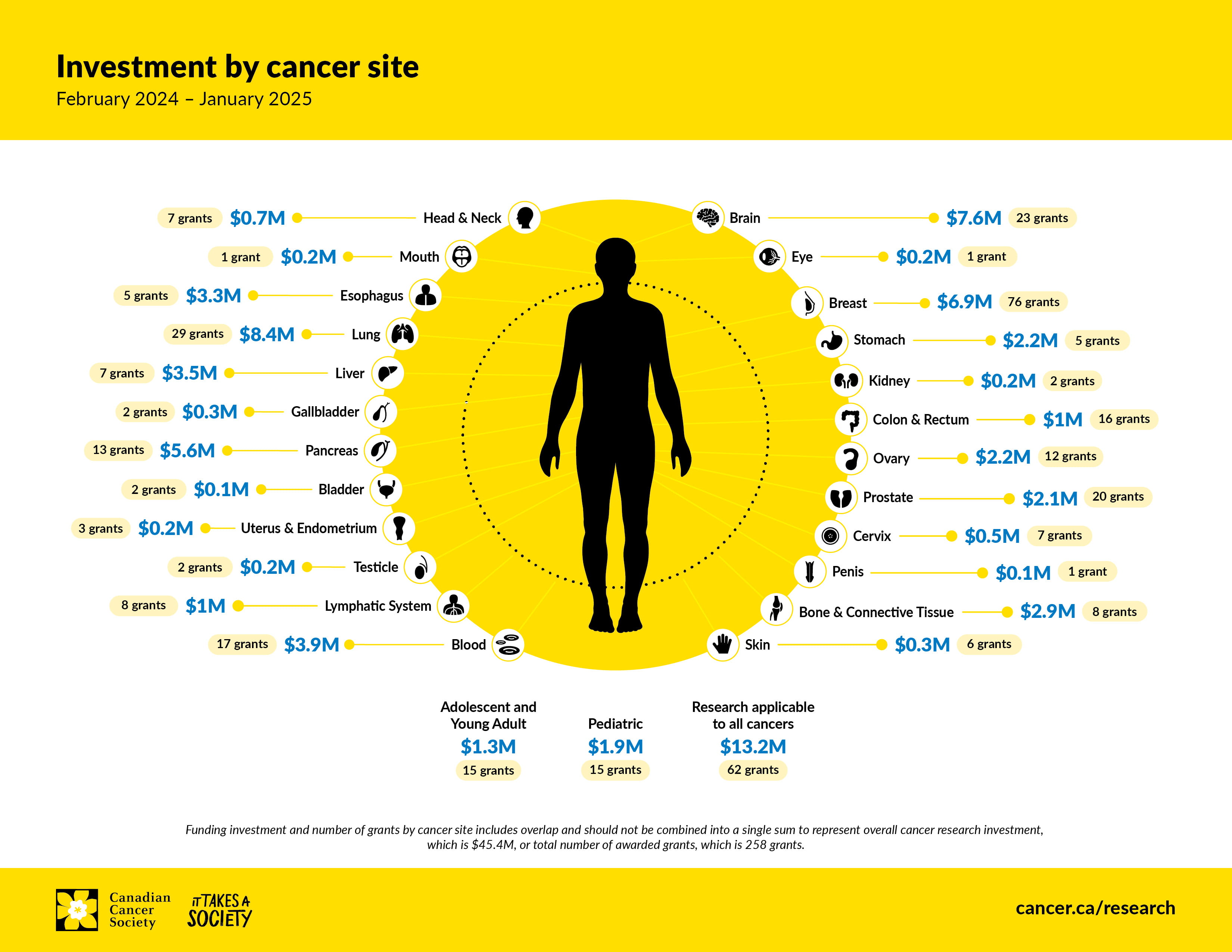 Infographic about investment by cancer site