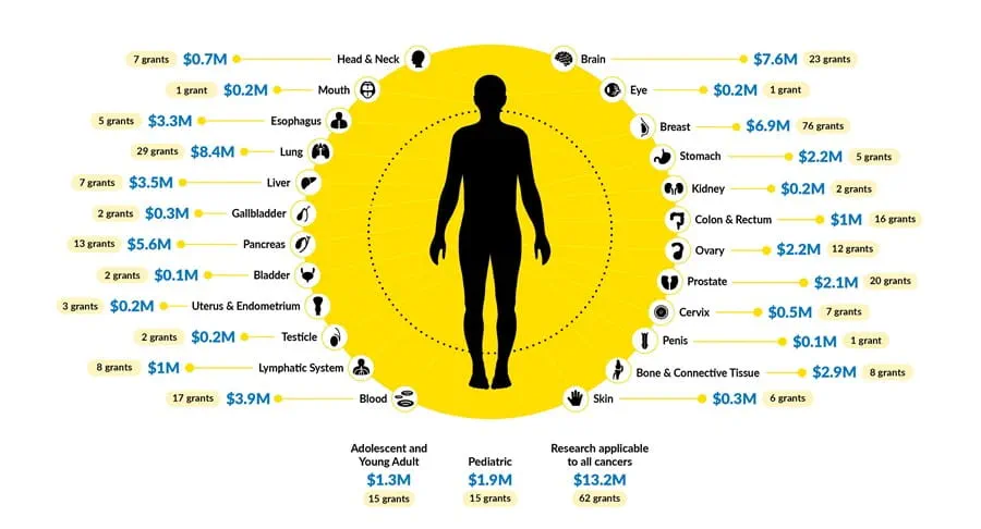 Infographic about investment by cancer site