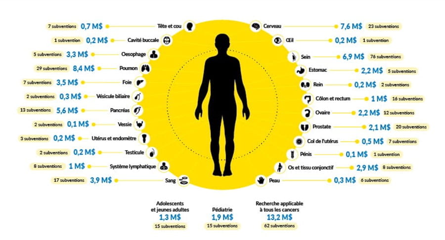 Infographie sur les investissements par site de cancer