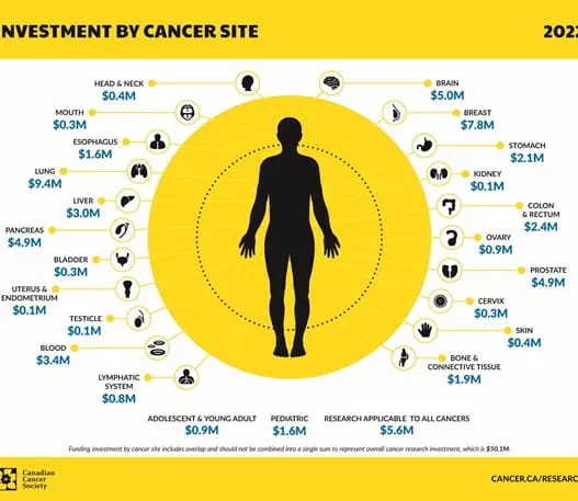 Infographic about iInvestment by cancer site
