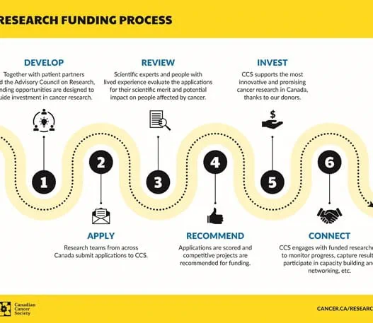 Infographic about the research funding process