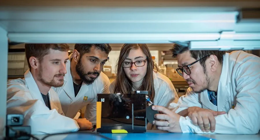 Researchers in a lab