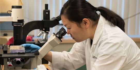 Researcher Dr Tai