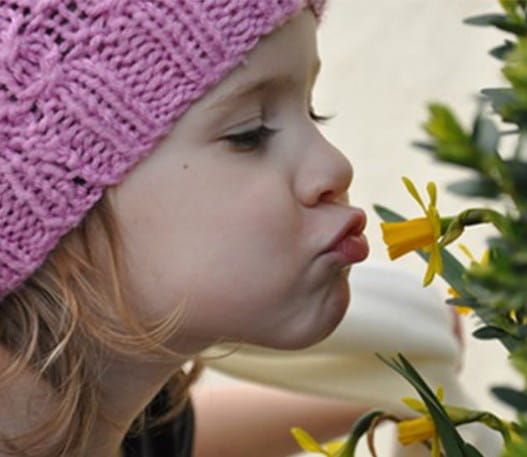A girl kissing a daffodil