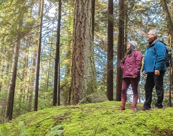An older couple take a break while hiking in the woods
