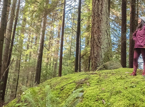 An older couple take a break while hiking in the woods