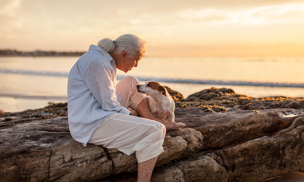 Elderly woman sitting on a rocky beach with dog. 