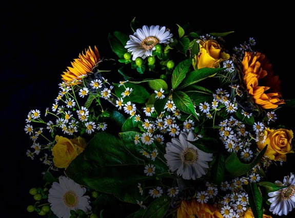 Un bouquet de fleurs jaunes et blanches sur fond noir.